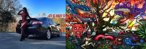 ПСИЛОЦИБИНОВЫЕ ГРИБЫ Куйбышев