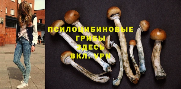 ПСИЛОЦИБИНОВЫЕ ГРИБЫ Куйбышев