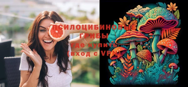 ПСИЛОЦИБИНОВЫЕ ГРИБЫ Куйбышев